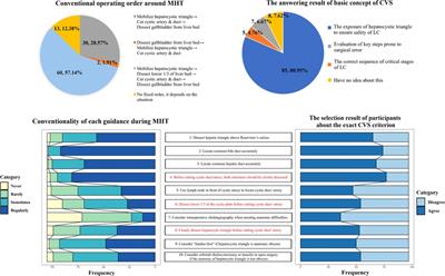 Critical view of safety in laparoscopic cholecystectomy: A prospective investigation from both cognitive and executive aspects